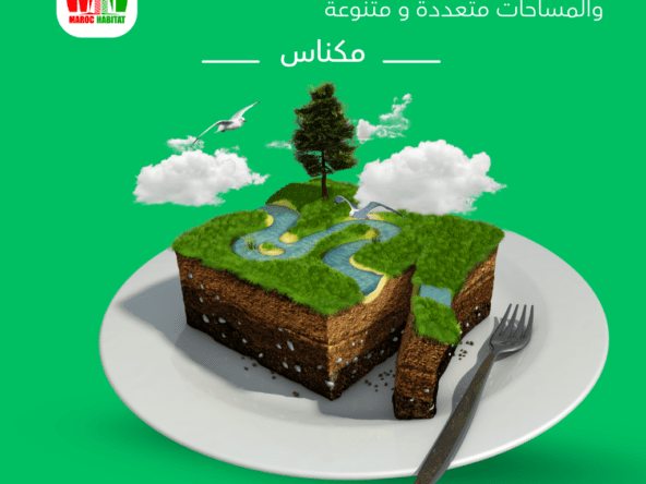 LAND3